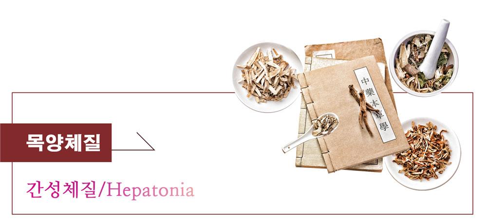 목양체질 (간성체질/HEPATONIA)